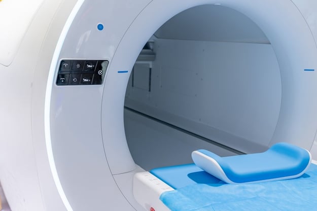 shutterstock_2445676961